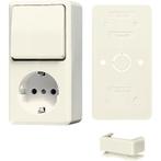 Jung AP600 Interrupteur combiné blanc avec ensemble RA -, Doe-het-zelf en Bouw, Verzenden, Nieuw