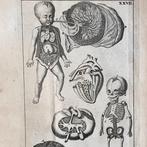 Jean Adam Kulm - Tables anatomiques du corps humain et de, Antiquités & Art