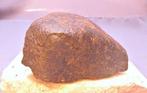 Chondriet Koolhoudende chondrite meteoriet - 306 g - (1), Verzamelen, Mineralen en Fossielen