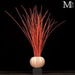 Décoration marine – Oursin et Gorgone - Hauteur : 460 mm -, Verzamelen