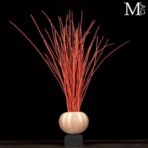 Décoration marine – Oursin et Gorgone - Hauteur : 460 mm -, Verzamelen, Mineralen en Fossielen