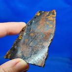 Pallasite Jepara (Indonésie, 2008) Slice XL - 32.95 g