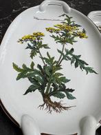 Villeroy & Boch - Serveerschaal (2) - Botanica - Porselein