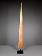 Rostre despadon géant Rostre sur support - Xiphias gladius, Collections