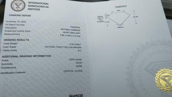 Sans Prix de Réserve - 1 pcs Diamant (Couleur naturelle) -, Handtassen en Accessoires, Edelstenen