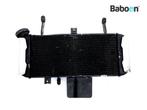 Radiateur Suzuki SV 650 2005-2006 (SV650 SV650N SV650S), Motoren, Verzenden, Nieuw