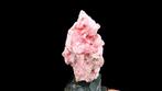Rhodochrosite - Mine de Santa Rita, Morococha, Junín, Pérou