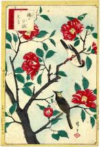 Camellia, Yellow Warbler and Java Sparrow  - 1879 -, Antiquités & Art