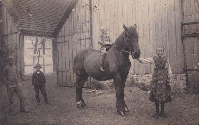 België - Belgie (80x) - Zéér gevarieerde samenstelling - Mét, Verzamelen, Postkaarten | Buitenland