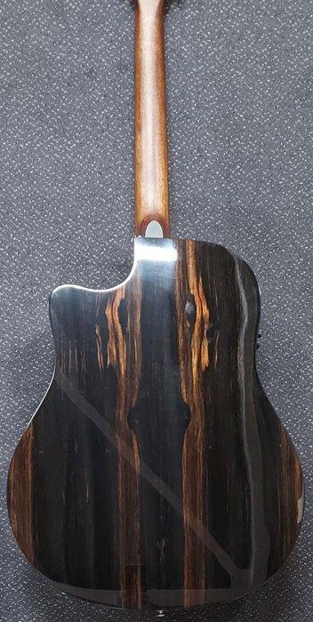 Breedlove - PSD24CE Dreadnought Plus, Persuit Series met beschikbaar voor biedingen