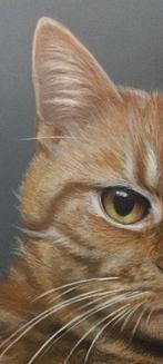 Yevhen Karpenko - Realistic Cat Portrait