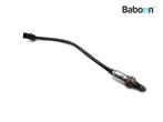 Capteur doxygène Triumph Trident 660 2020->, Motoren, Verzenden, Nieuw