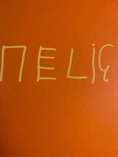 Nelis 9789090181622 Saskia van Loenen, Boeken, Kunst en Cultuur | Fotografie en Design, Gelezen, Verzenden