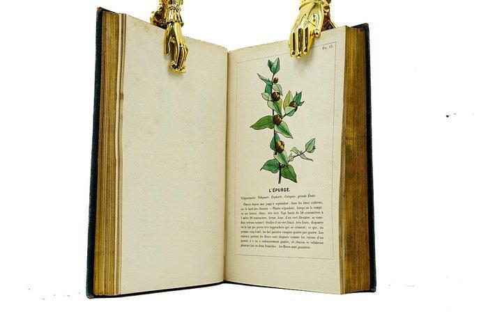 Emm. Le Maout - Leçons élémentaires de botanique, fondées, Antiek en Kunst, Antiek | Boeken en Manuscripten