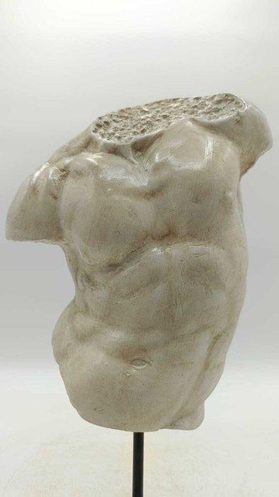 sculptuur, Torso Gaddi - 36 cm - marmerstof, Antiek en Kunst, Curiosa en Brocante