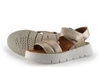 Geox Sandalen in maat 37 Goud, Kleding | Dames, Schoenen, Geox, Overige kleuren, Verzenden, Sandalen of Muiltjes