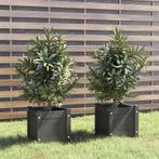 vidaXL Plantenbakken 2 st 31x31x31 cm massief grenenhout, Verzenden, Nieuw