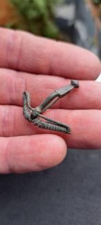 Oud Keltisch/Romeins Brons Fibula (Zonder Minimumprijs)