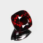 Zonder Minimumprijs - 1 pcs Bruin, Rood Spinel - 2.63 ct -, Nieuw