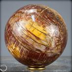 Natuurlijke sfeer van versteend hout- 3135.37 g, Verzamelen