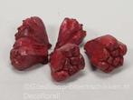 Kiyafruit Rood Noten 300 gram, Huis en Inrichting, Woonaccessoires | Kunstplanten en Kunstbloemen, Nieuw