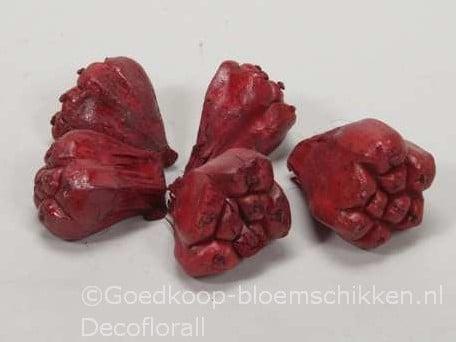 Kiyafruit Rood Noten 300 gram, Huis en Inrichting, Woonaccessoires | Kunstplanten en Kunstbloemen, Nieuw