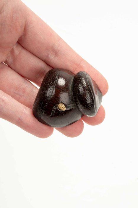 Een fijne houten gearticuleerde netsuke die twee kastanjes, Antiek en Kunst, Antiek | Overige Antiek