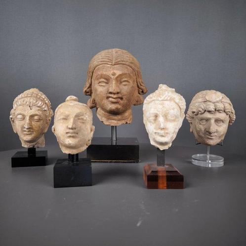 Gandhara Gips Een set van 5 stucwerkhoofden van Boeddha en, Verzamelen, Mineralen en Fossielen