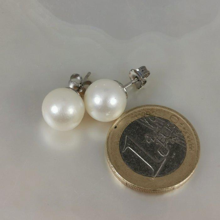 Zonder minimumprijs - Oorbellen Zilver Parel - Southsea RD, Handtassen en Accessoires, Oorbellen
