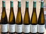 2024 Dr. Fischer - Hofstatter, Riesling Mosel Trocken -