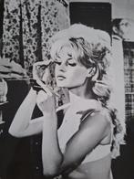 Klaus-Peter Hess - Brigitte Bardot & Sami Frey, La Vérité