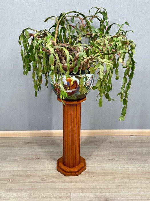 Plantentafel - Hout - Houten piëdestal, Antiquités & Art, Curiosités & Brocante