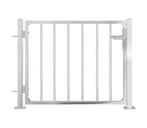 Poort RVS 100cm | Hekwerk Ingang | Retour Deal -55%, Met poort, Verzenden, Nieuw, Tuinhek