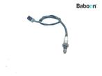 Lambda Sonde Triumph Tiger 900 GT Pro 2021-2022, Motoren, Verzenden, Gebruikt