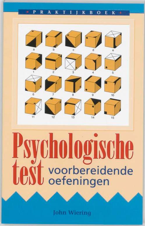 Praktijkboek psychologische test 9789038902586 John Wiering, Boeken, Psychologie, Zo goed als nieuw, Verzenden