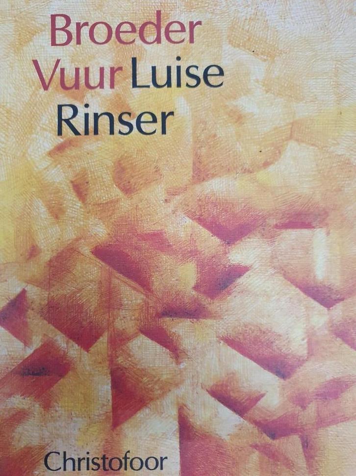 BROEDER VUUR 9789062382019 L. Rinser, Livres, Romans, Envoi