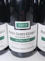 2023 Domaine Henri Gouges Les Pruliers - Nuits St. Georges, Verzamelen, Wijnen, Nieuw