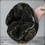Septarien naturel de première qualité Œuf de Druse- 4816.46