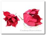 Magnolia foambloem Kort Rood DOOS 12 stuks Magnolia, Huis en Inrichting, Nieuw