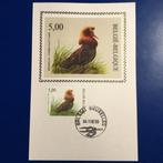 België - Verzameling Buzin maxkaarten op zijde