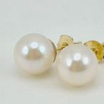 18 karaat - Geel goud - Oorbellen - Akoya-parel uit Japan, Antiek en Kunst, Curiosa en Brocante
