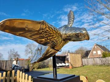 Figuur - XL Giant Bronze Sea Turtle - Brons