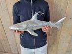 Statue, Silver Shark 41cm - 13 cm - Résine