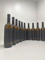 2022 Bodegas Terras Gauda, O Rosal Etiqueta Negra - Rias, Verzamelen, Wijnen, Nieuw