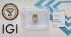 Zonder Minimumprijs - 1 pcs Diamant (Natuurlijk gekleurd) -, Nieuw