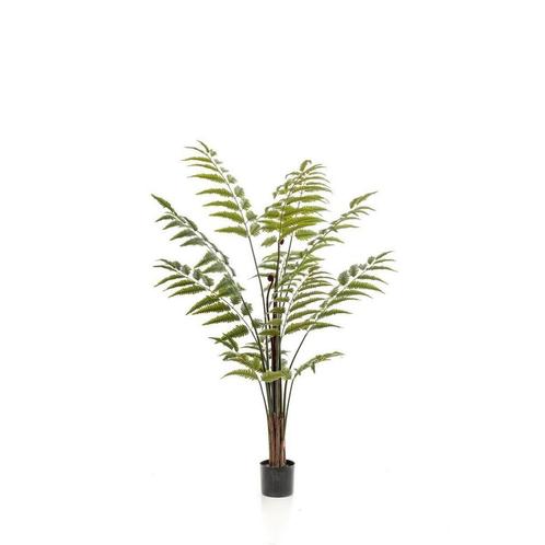 Kunstplant - Rumohra Adiantiformis - Ledervaren - 150 cm, Huis en Inrichting, Woonaccessoires | Kunstplanten en Kunstbloemen