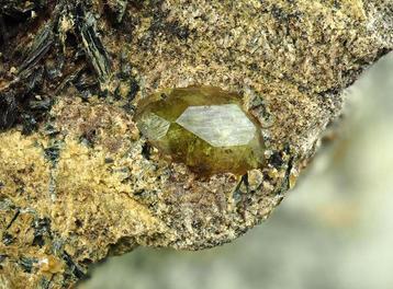 Grenat var. Demantoïde vert Cristal sur matrice - Hauteur :