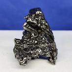 Authentieke ijzeren meteoriet. Sculpturaal CAMPO DEL CIELO