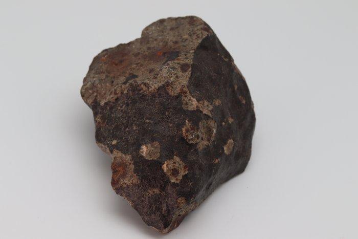 NWA 13281 Meteoriet – ordinaire condriet (L5) - 420 g, Verzamelen, Mineralen en Fossielen