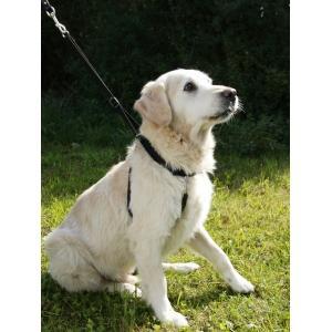 Harnais pour chien maxi leader noir, t.3, 45-60cm, Animaux & Accessoires, Accessoires pour chiens